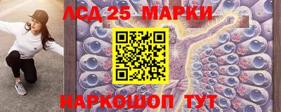 индика Заводоуковск
