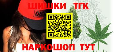 индика Заводоуковск