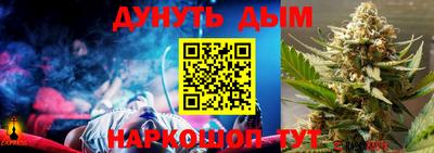 индика Заводоуковск