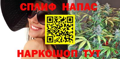 индика Заводоуковск