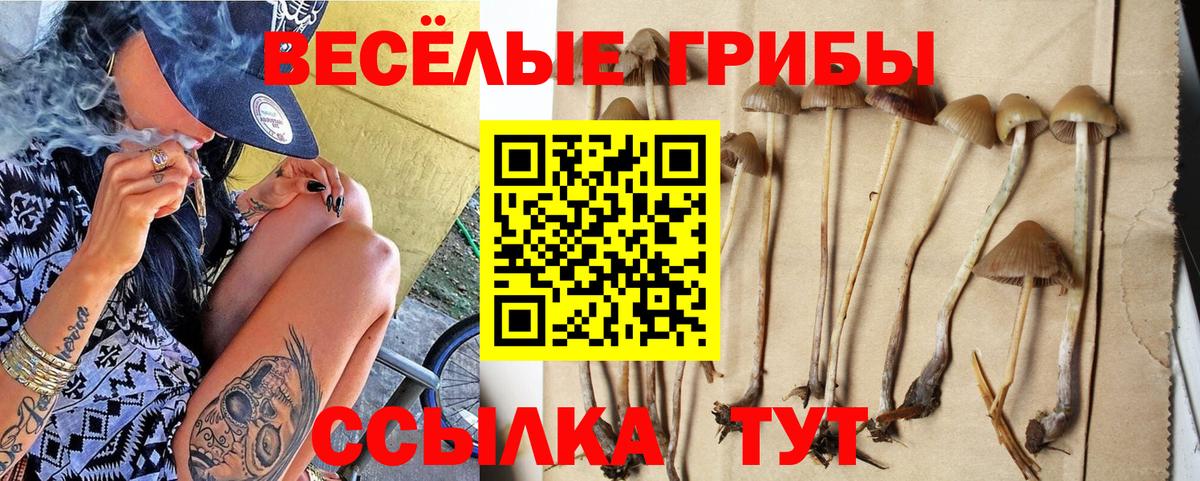 Псилоцибиновые грибы прущие грибы  Вход с VPN  Кохма 
